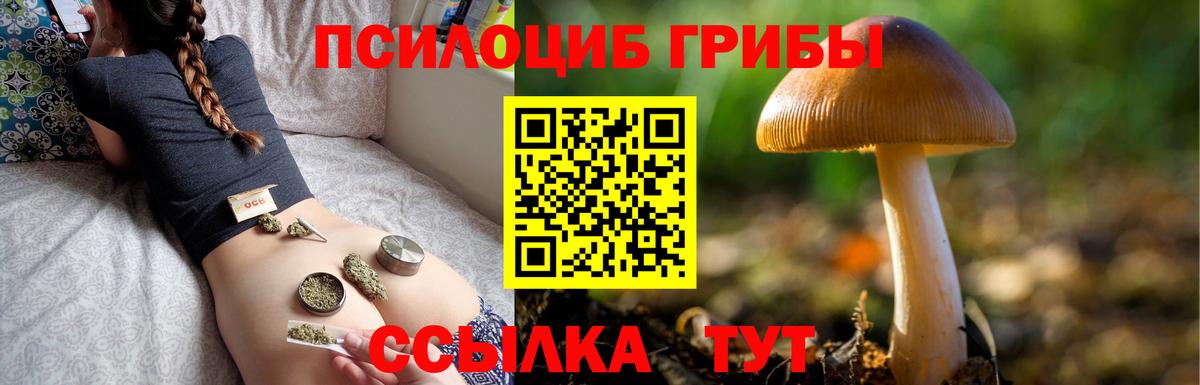 где можно купить   Галлюциногенные грибы Magic Shrooms  Вход с VPN  Кимовск 